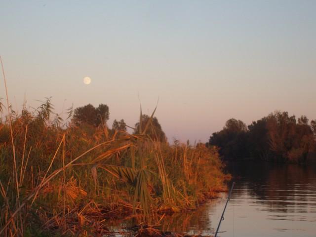 Delta forever - sany1219.JPG